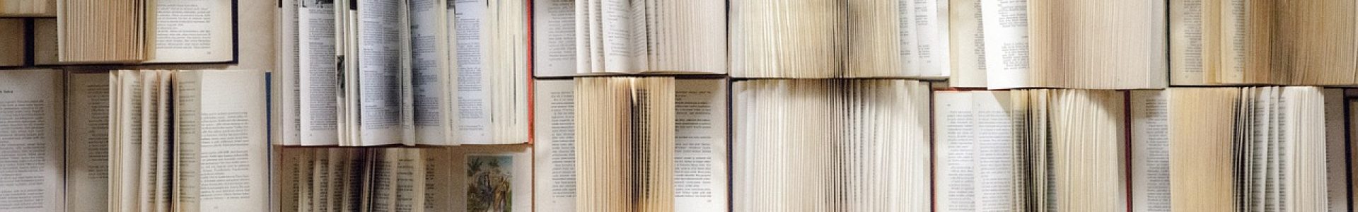 book wall, books, wall-1151405.jpg